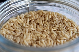 grains for getting pregnant fast