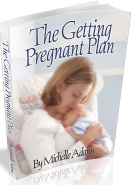 book for getting pregnant fast